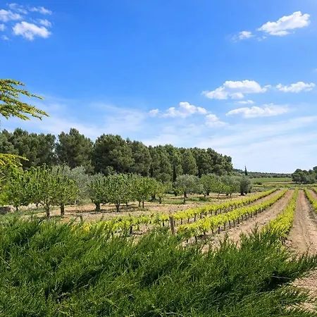 빌라 Winahost Casa Egea Torre Vellisca